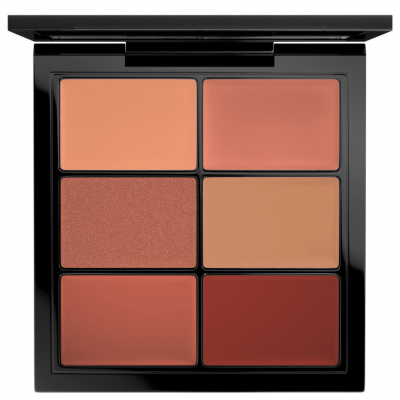 MAC Pro Lip Palette 6